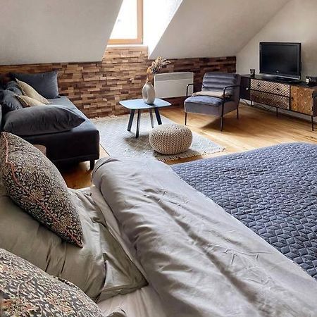 Cozy And Warm Apartment In The Heart Of Karlsbad Ngoại thất bức ảnh